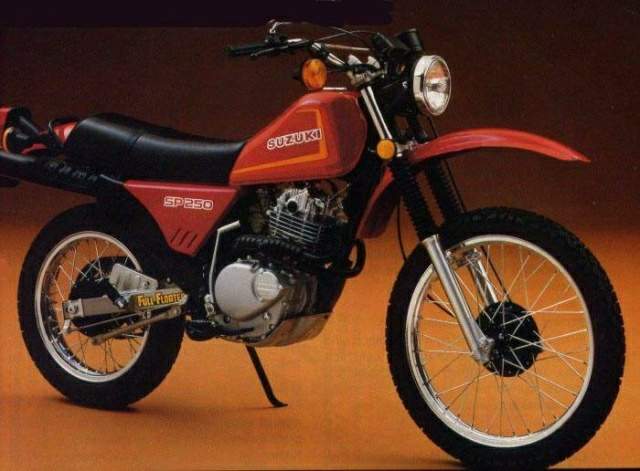 Suzuki 250 dual sale sport